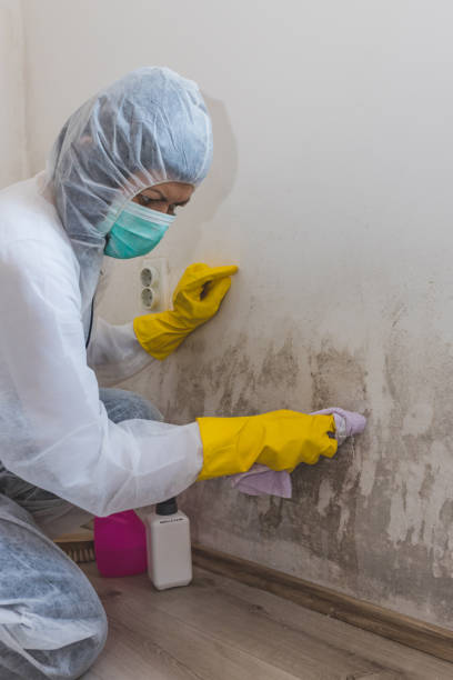 Best Residential Mold Inspection & Testing  in Newberry, SC