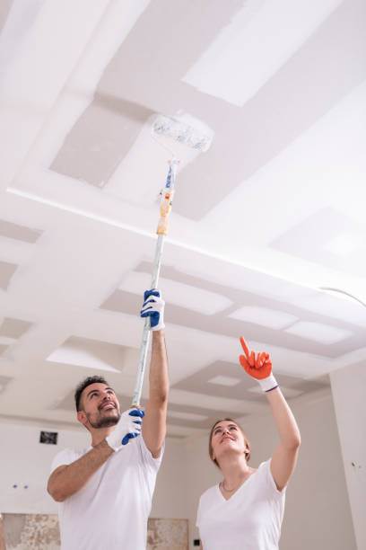 Professional Mold Removal in Newberry, SC