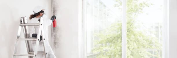 Best Mold-Related Health Consultation  in Newberry, SC